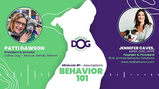 Behavior 101 Podcast - #1 Assumptions